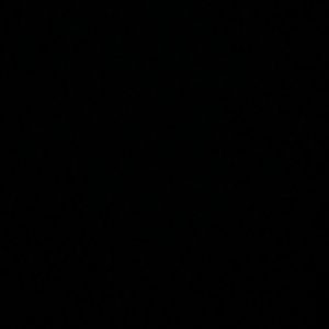 Meet your Posher, Rickey